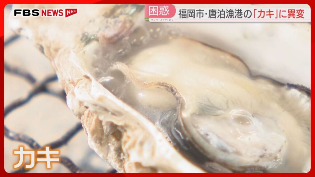 共有