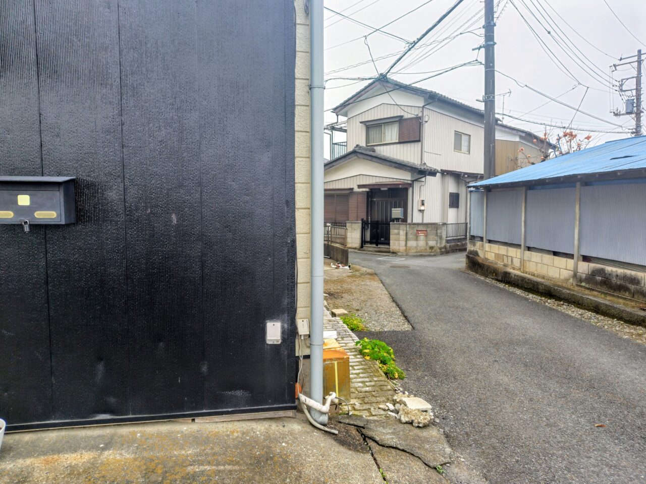 2025年新田八之助