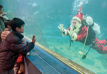 和歌山県立自然博物館の催し | ニュース和歌山