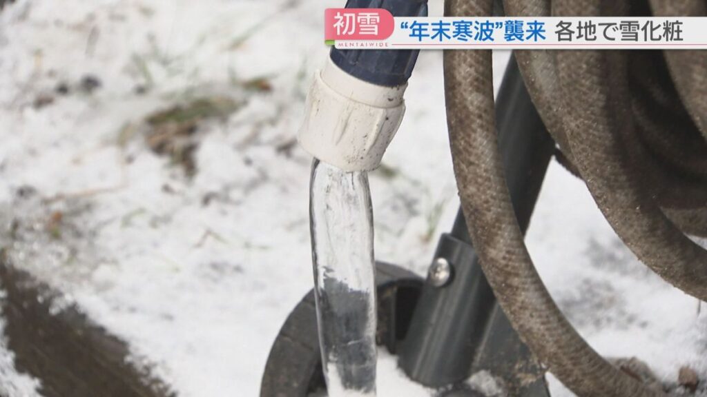 共有