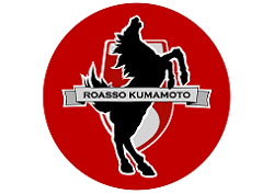 ロアッソ熊本ジュニア セレクション（現小学2,3年生対象）1/24 開催 2026年度 熊本県