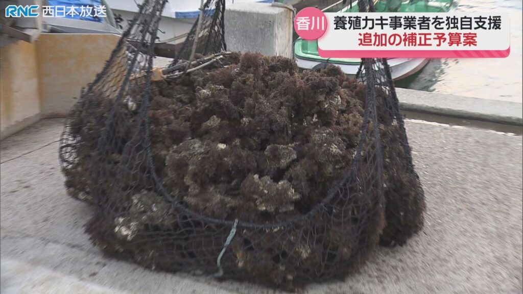 共有