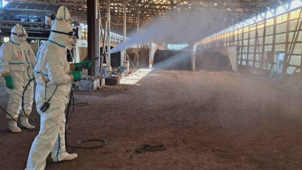 鳥インフル発生の養鶏場からフン搬入　美作市の堆肥化処理施設で防疫措置開始　岡山県 | KSBニュース | KSB瀬戸内海放送