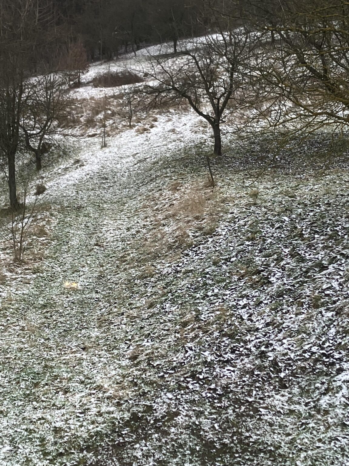 ハッピー＆ハッピー、r/スロバキア！こちらでも少し雪が降っています。