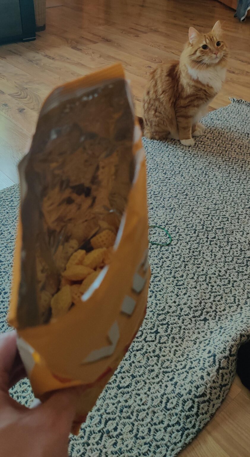 Vigur チップのフルパック