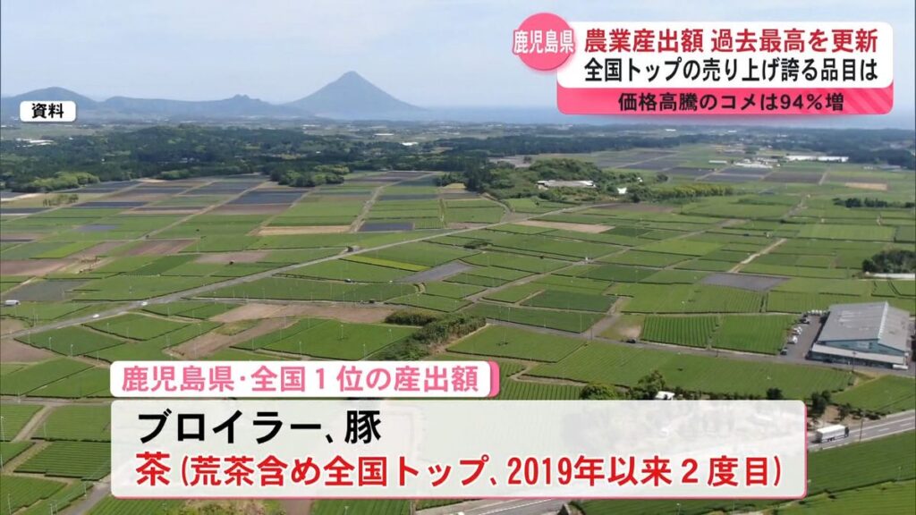鹿児島の農業産出額 過去最高5689億円で全国2位 全国トップ産出額はブロイラー・豚・お茶(2025年12月24日掲載)|KYT NEWS NNN 共有