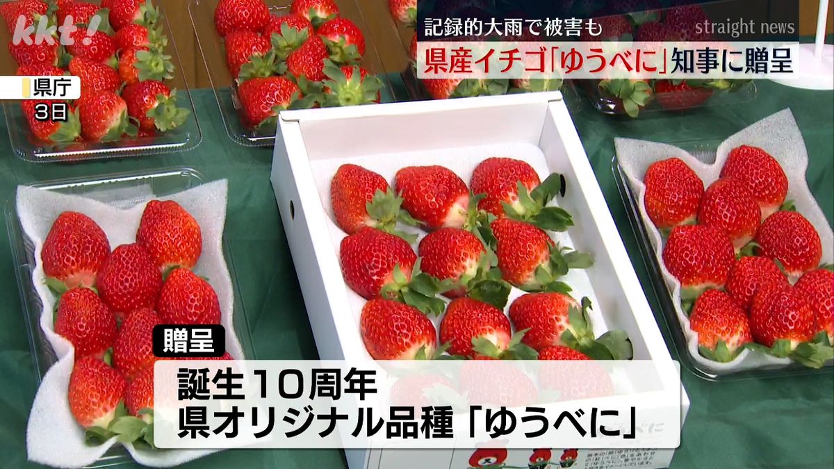 記録的大雨にも負けず…熊本県産イチゴ｢ゆうべに｣知事に贈呈