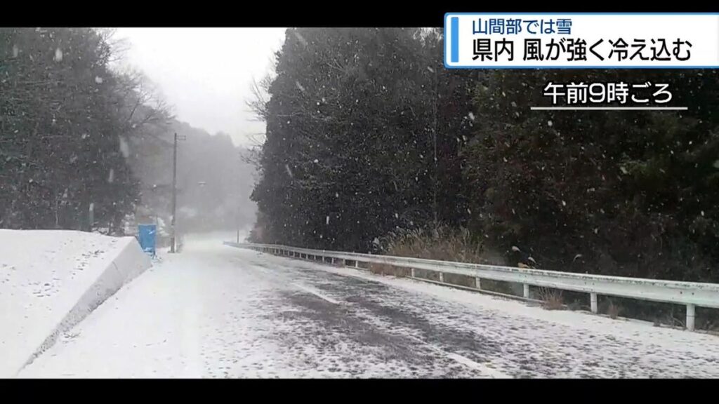 共有