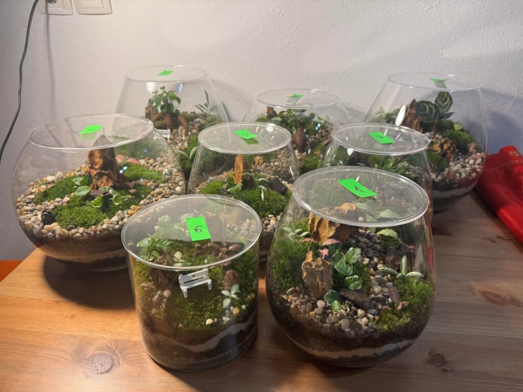 植物テラリウム - ガラスの中の小さな世界