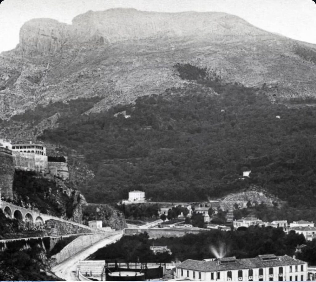 大きく変わりました ➡️ 1860-2025