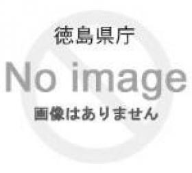 徳島県庁 画像はありません