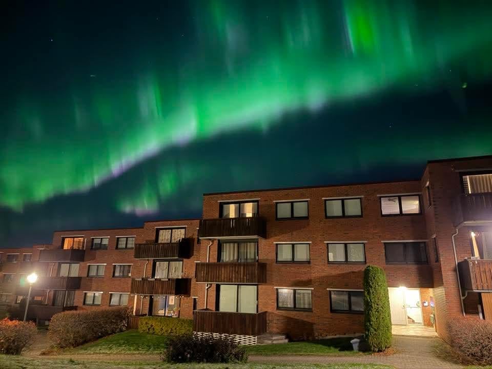 あなたはノルウェーに対して言葉では言い表せない、抗いがたい愛を持っています。ノルウェーが大好きです🇳🇴