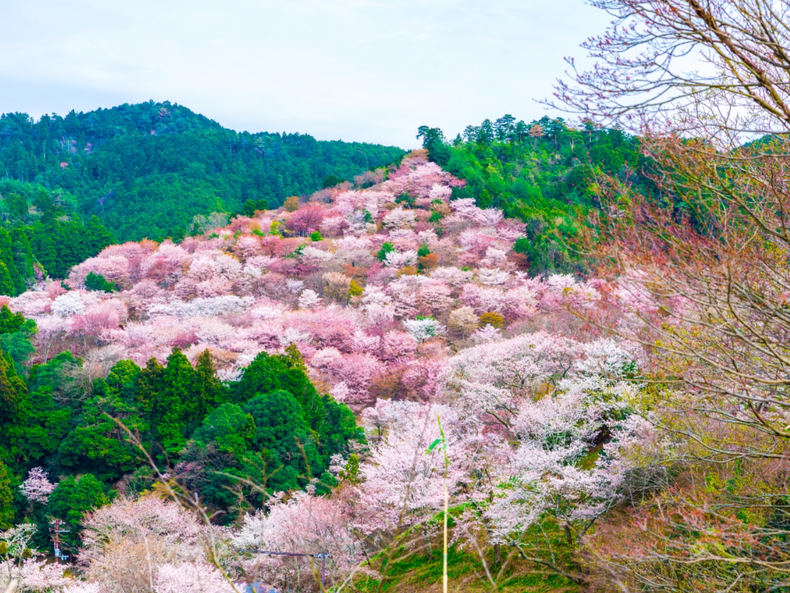 長期休暇に行きたいと思う「奈良県（奈良・吉野・大和路エリア）の温泉地」ランキング