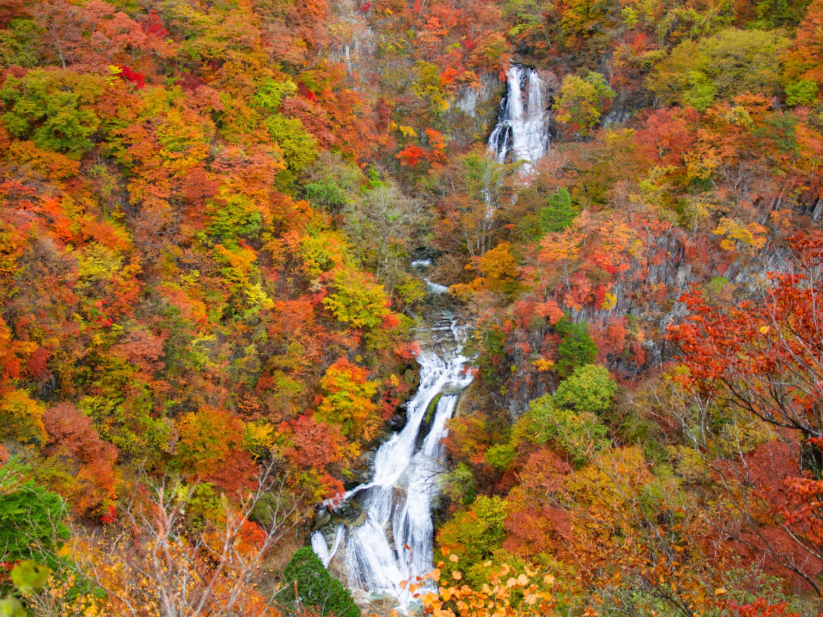 長期休みに行きたい「栃木県の穴場秘境」ランキング