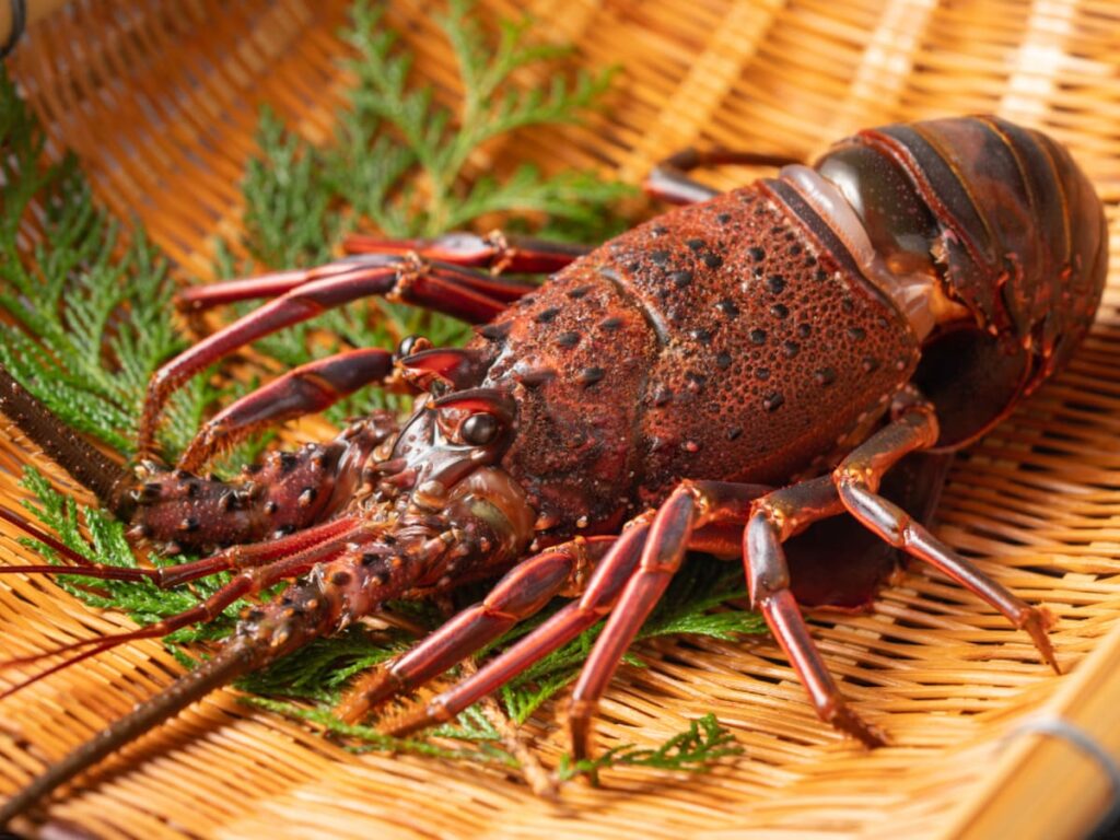 旅先で食べたい「三重県のご当地グルメ」ランキング！ 2位「伊勢エビ」を抑えた1位は？ 【2025年調査】 - All About ニュース