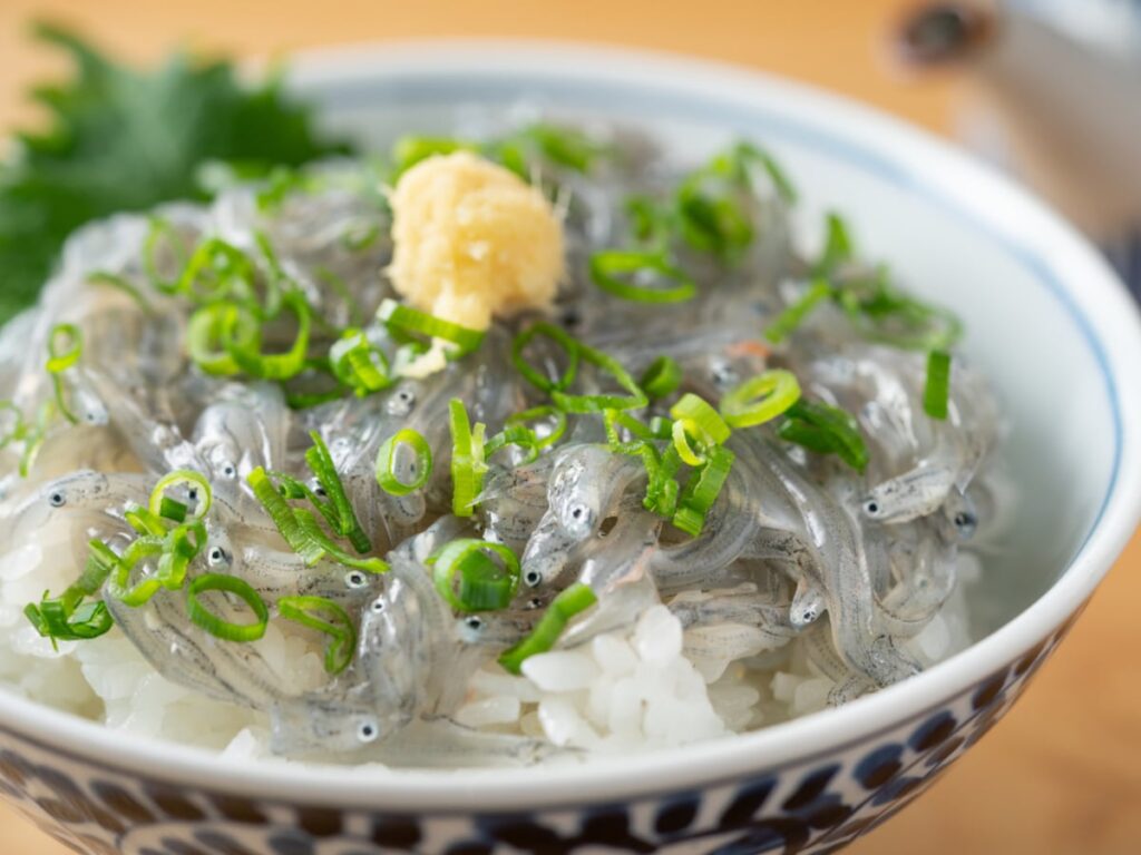 旅先で食べたい「和歌山県のご当地グルメ」ランキング! 2位「しらす丼」を抑えた1位は? 【2025年調査】 – All About ニュース 旅先で食べたい「和歌山県のご当地グルメ」ランキング! 2位「しらす丼」を抑えた1位は? 【2025年調査】 - All About ニュース