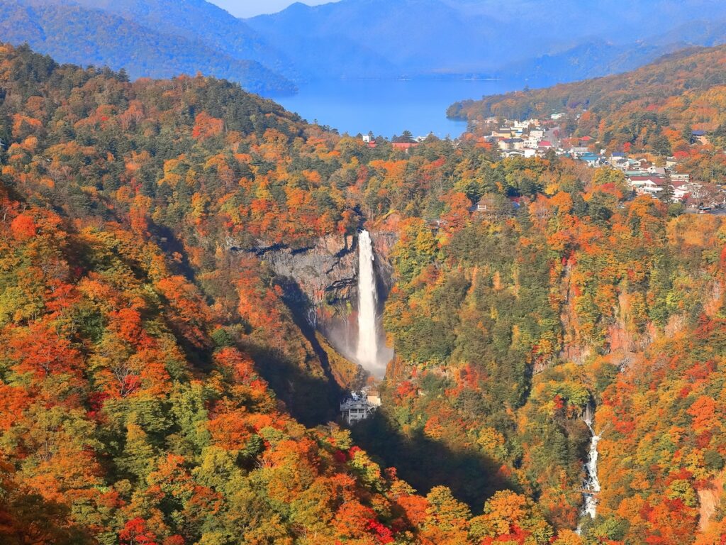 好き&行ってみたい「栃木県のパワースポット」ランキング! 2位「華厳滝」を抑えた1位は?【2025年調査】 – All About ニュース 好き&行ってみたい「栃木県のパワースポット」ランキング! 2位「華厳滝」を抑えた1位は?【2025年調査】 - All About ニュース