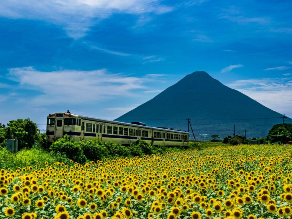老後に住みたい「鹿児島県の自治体」ランキング！ 2位「指宿市」を抑えた1位は？ 【2025年調査】 - All About ニュース