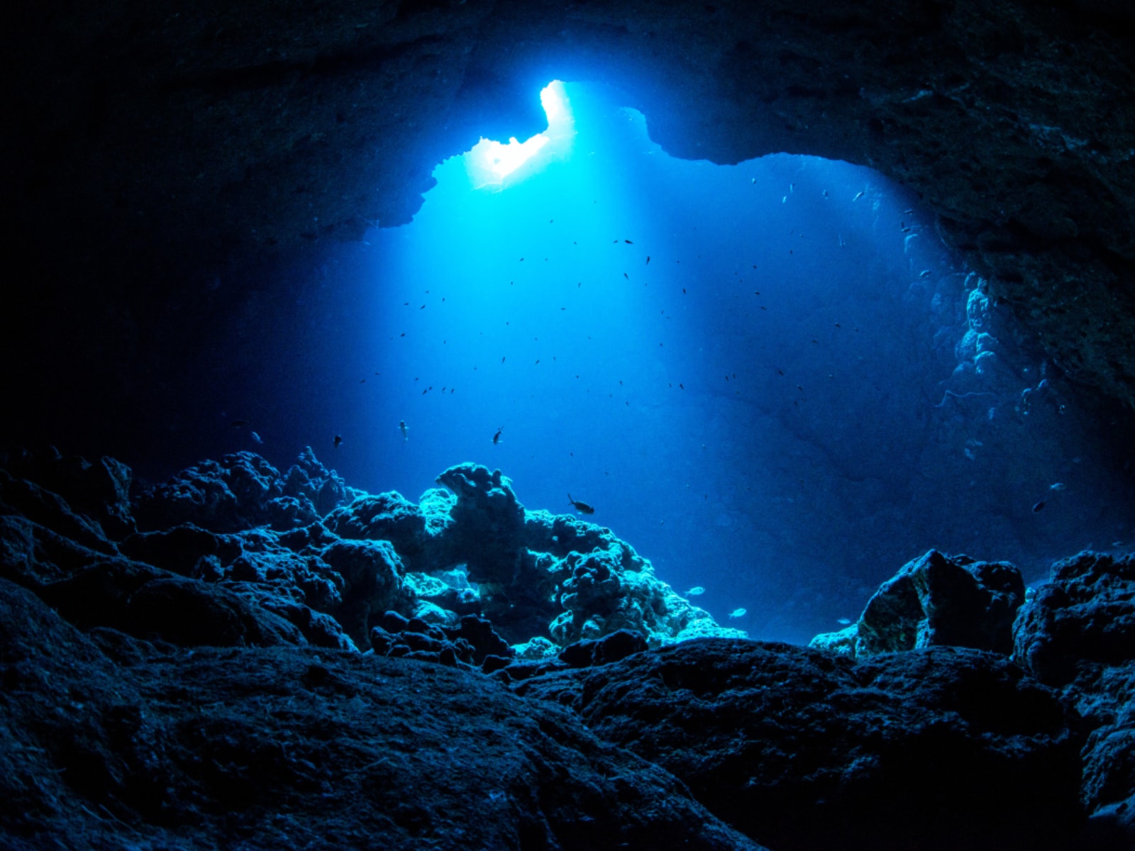 「岩手県の絶景スポット」ランキング