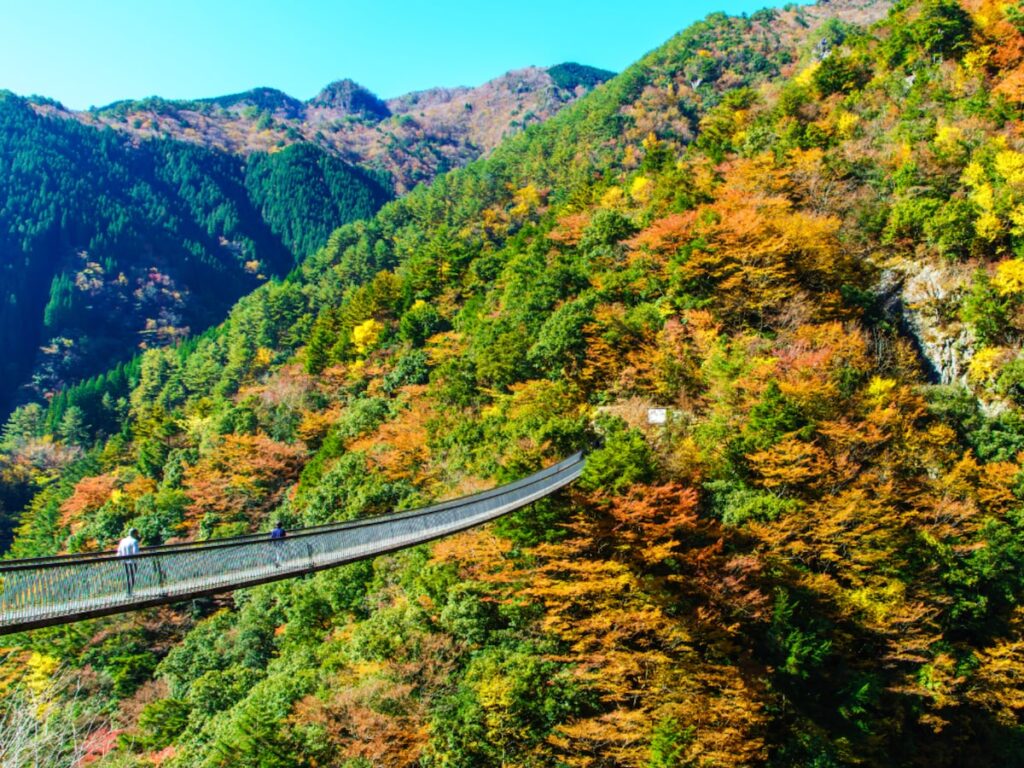 長期休みに行きたい「熊本県の穴場秘境」ランキング！ 2位「梅の木轟公園吊橋」「菊池渓谷」、1位は？ 【2025年調査】 - All About ニュース