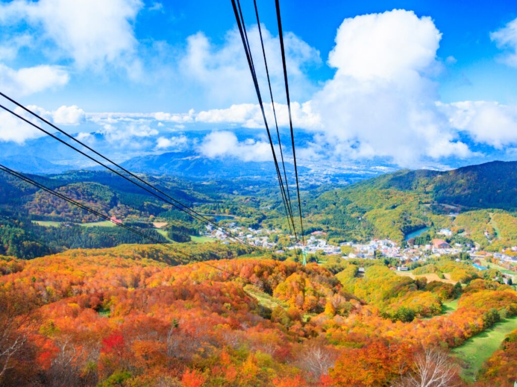 好き＆行ってみたい「日本の高原」ランキング！ 2位「山形蔵王中央高原」を抑えた1位は？【2025年調査】 - All About ニュース