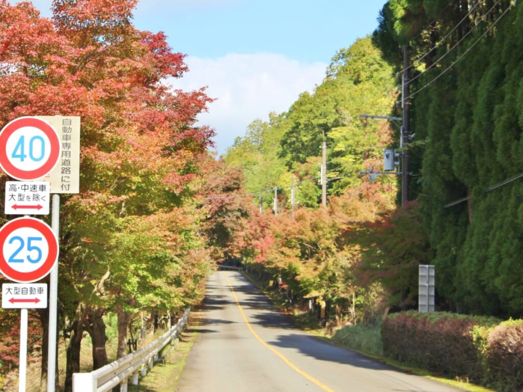 クリスマスに行きたい「京都府の絶景ドライブスポット」ランキング！ 2位「嵐山高雄パークウェイ」を抑えた1位は？ - All About ニュース