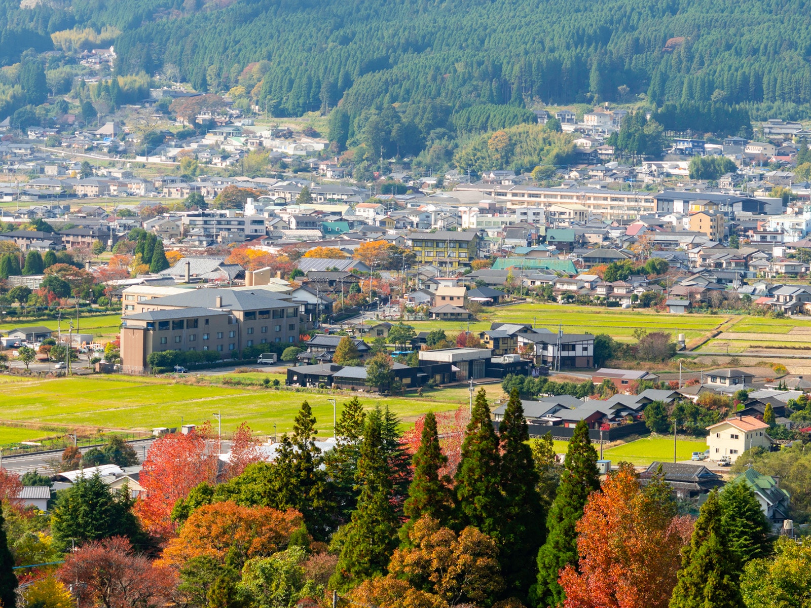 大分県民が選んだ「街の幸福度（自治体）」ランキング