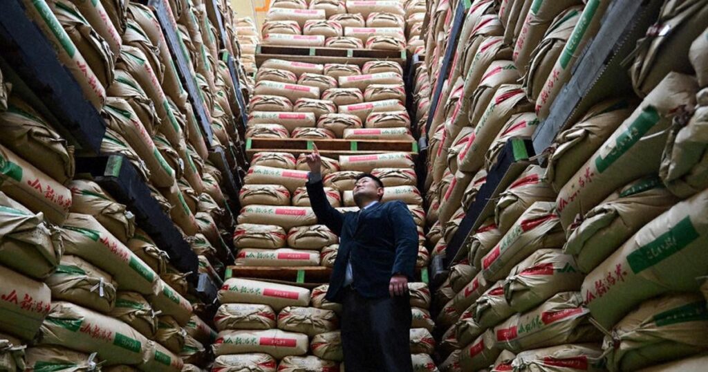 事実上の減反政策を法定化へ 農水省方針 「需要に応じた生産」推進 ― 政権が代わっても原則を安易に転換させない仕組み