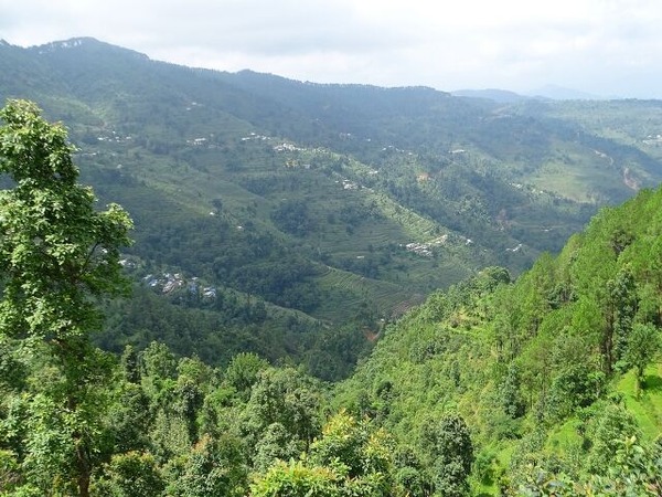 11月 にいがた速報 人気記事