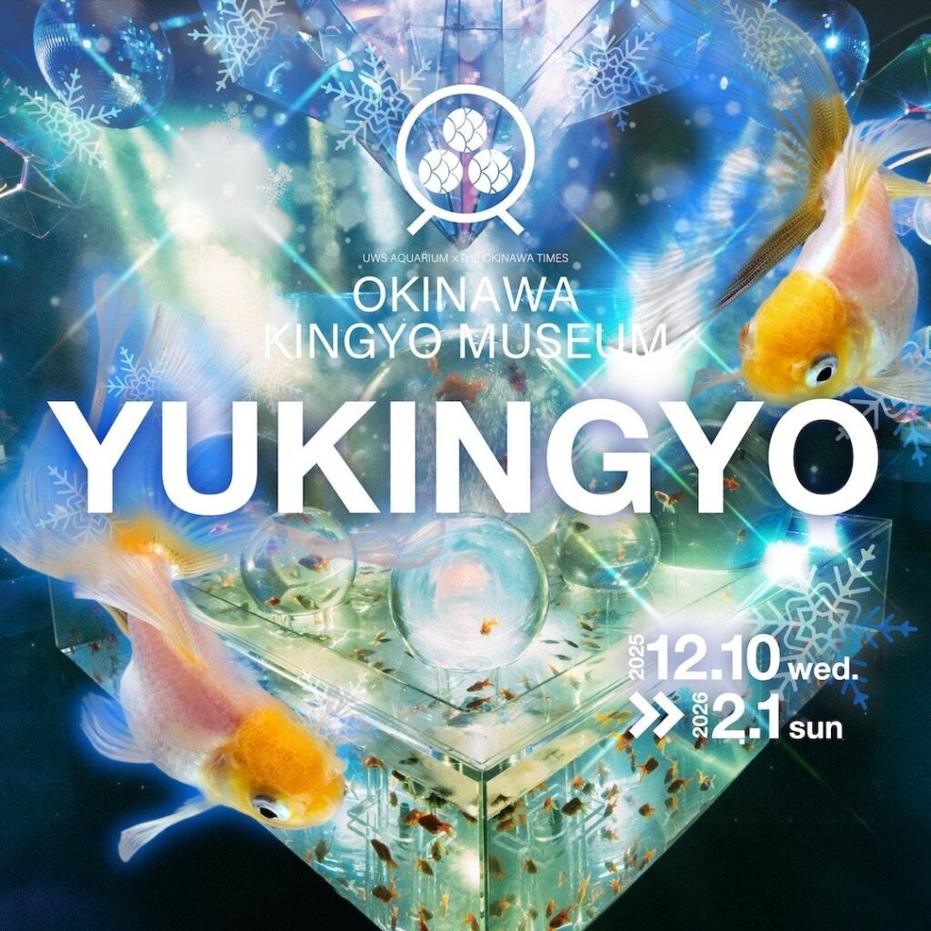 南国沖縄、白い金魚が織りなす雪景色「YUKINGYO」企画展が沖縄金魚ミュージアムで本日より開催!白いツリーと雪降る演出が調和し、館内を冬仕様へと彩る期間限定デザイン | 株式会社UWS ENTERTAINMENTのプレスリリース 南国沖縄、白い金魚が織りなす雪景色「YUKINGYO」企画展が沖縄金魚ミュージアムで本日より開催!白いツリーと雪降る演出が調和し、館内を冬仕様へと彩る期間限定デザイン | 株式会社UWS ENTERTAINMENTのプレスリリース