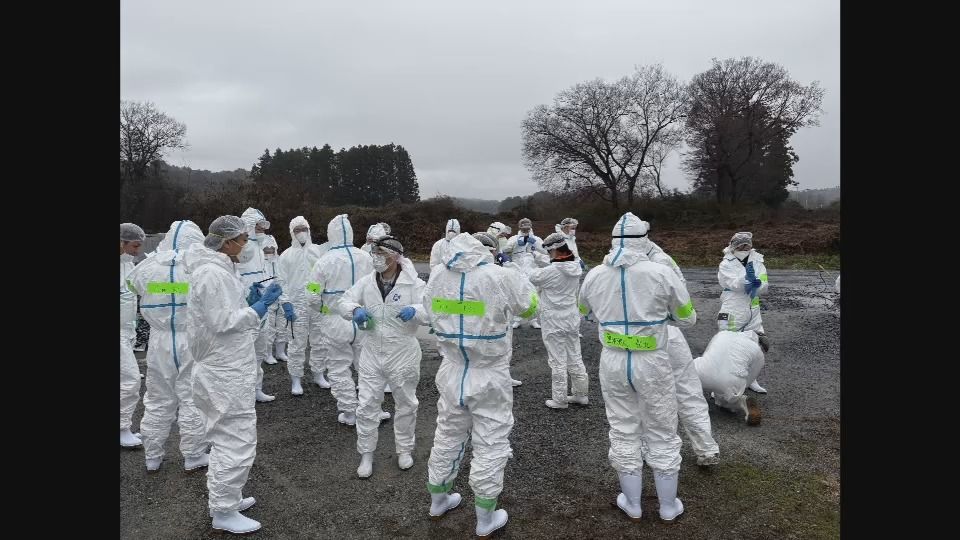 日本テレビ放送網