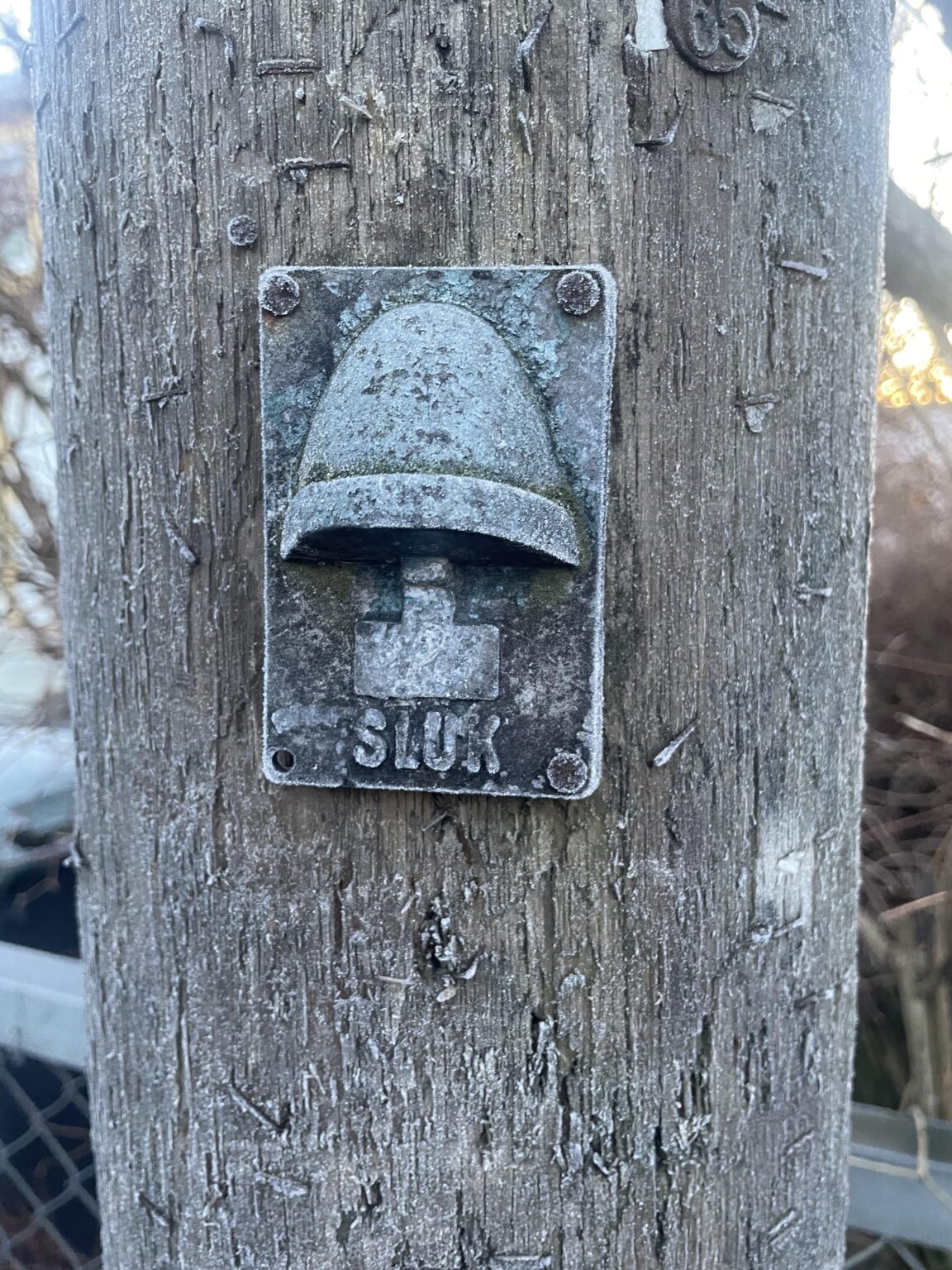 これは何ですか？ 😊