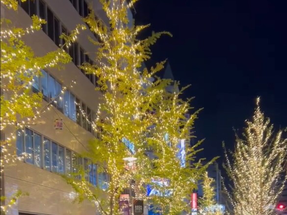 【12/12・13】ときめくイルミネーションとクリスマスグルメ！『SAGA tokimeki. Christmas Market』（佐賀市）【イベント】｜福岡・佐賀 週末楽しむニュースマガジン ジモタイムズ・九州朝日放送