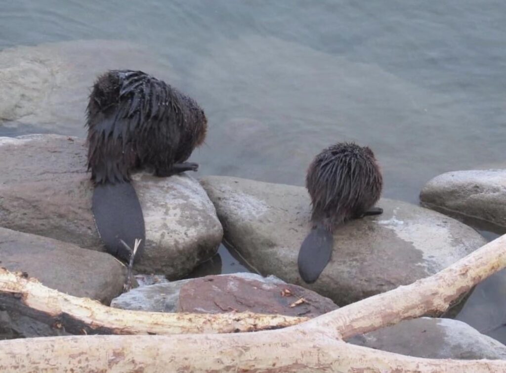 私が遭遇したものを見てください😍