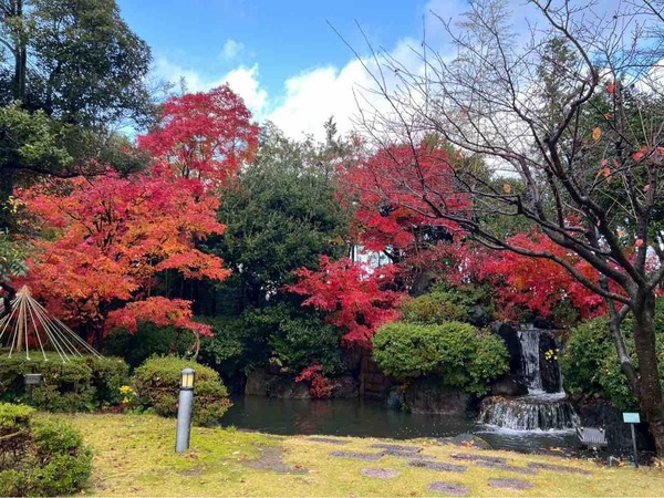 1位は大人気テレビ番組!2025年11月に最も読まれた人気記事は?11月人気記事まとめ。 : にいがた速報 – 新潟県新潟市の地域情報サイト 11月 にいがた速報 人気記事