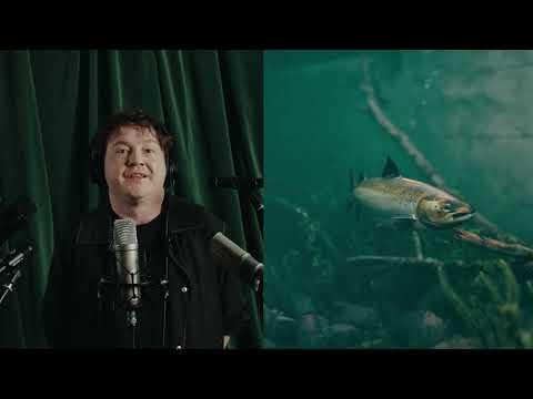 広告サイトで魚を釣る？