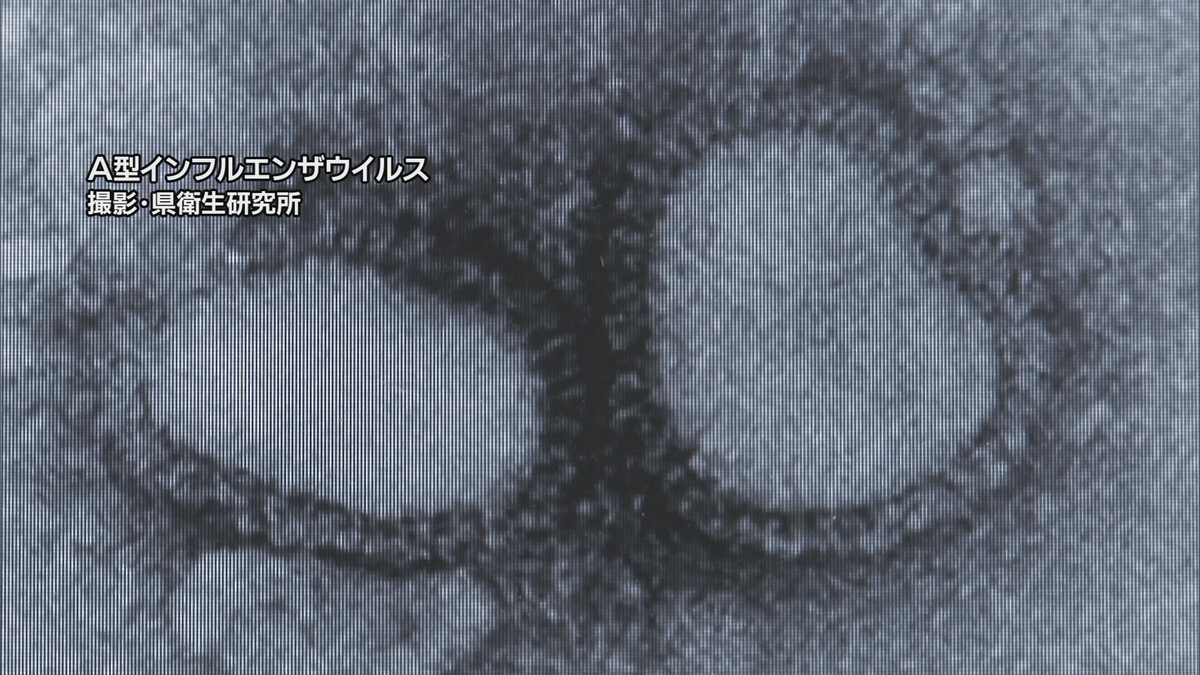 山形県内のインフルエンザ患者数　2週連続で減少も依然全県で警報レベル続く