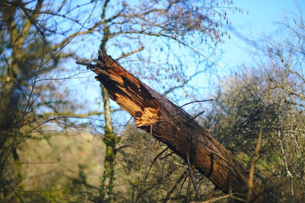 マンテルナッハ