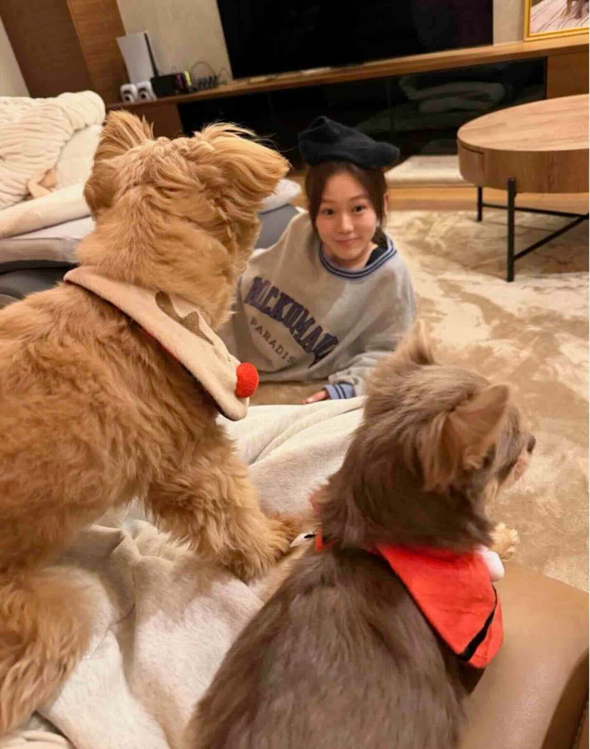 川口葵が愛犬とクリスマスを満喫、武尊が微笑ましいコメント | 話題の投稿 | スポーツブル (スポブル)