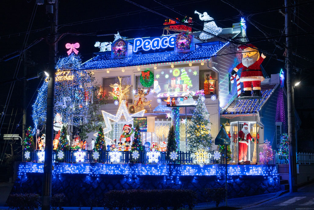 2025年の折居台のイエナリエの画像