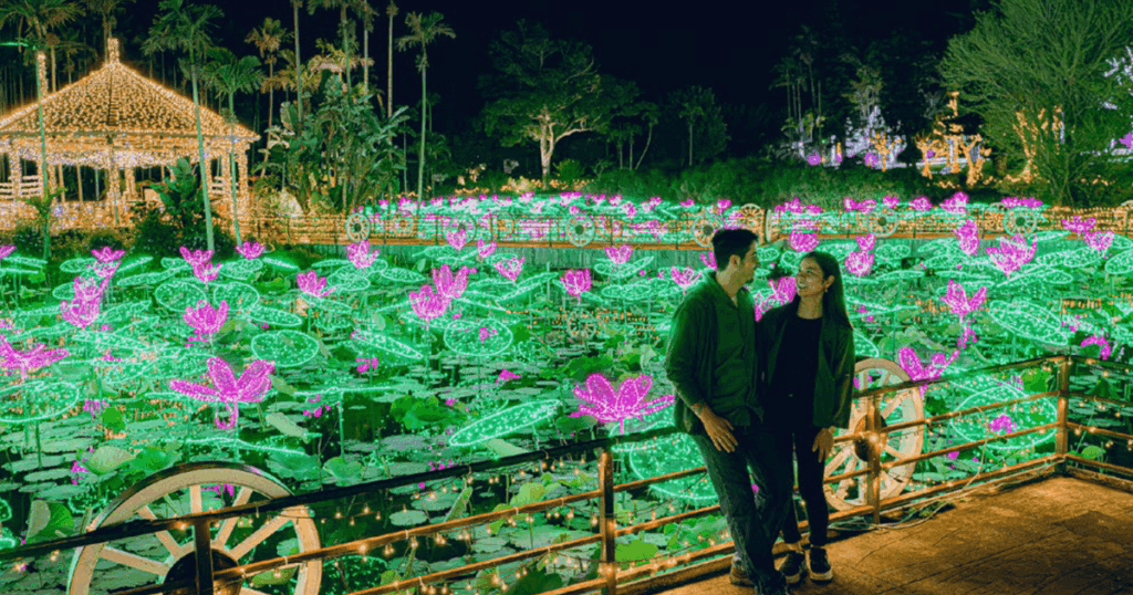 南国の光が夜を彩る冬の植物楽園 東南植物楽園　沖縄・沖縄市【週刊レキオ2025おすすめ特集PR】