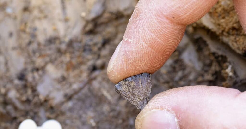 40万年前に人類火おこしか 英遺跡で最古の証拠を発見 従来は5万年前