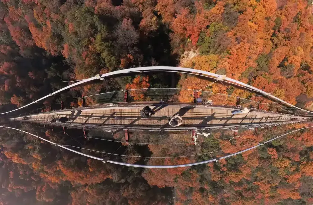 IJ5BIOOGYFNYHIHZTDPWED5C2I