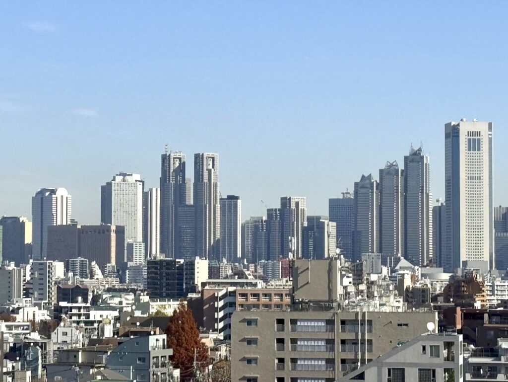 東京、「世界最大の都市」の座を失う　理由は？　国連統計 - CNET Japan