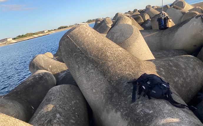 穴釣りで26cm頭に良型カサゴを連打！【三重】釣った魚の内蔵をエサにしたら大正解だった