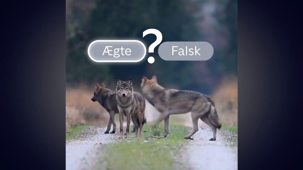 あなたも騙されていませんか？ AIが作ったフェイク動画を見分けられるか試してみよう