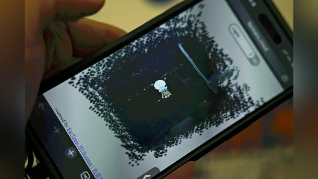 実は難しいクラゲの３Ｄスキャン…複数画像を数学的に処理し中学生らが成功