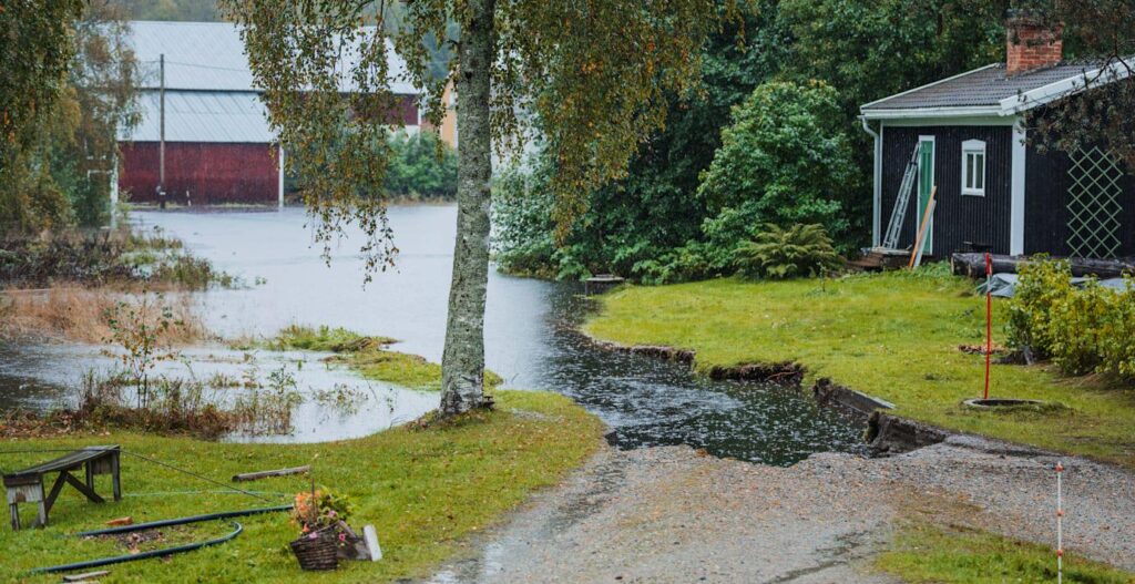 スウェーデンでは冬が完全に消えてしまい、あらゆるものが湿気を帯びてきています