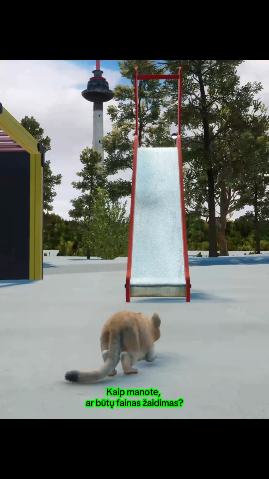 ビリニュスの猫のゲーム