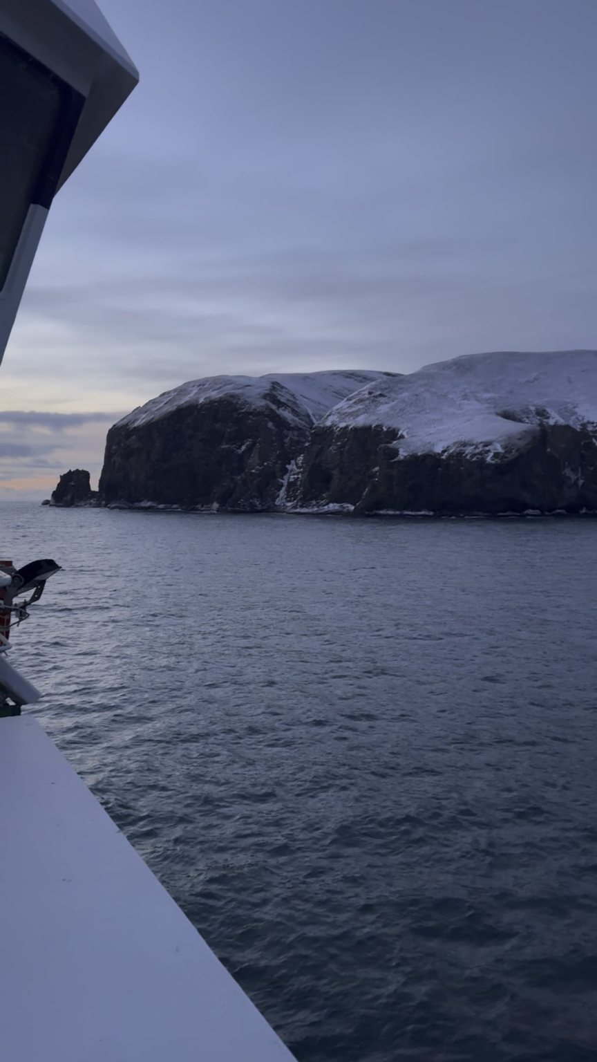 ビョルン・オイヤ (クマの島)